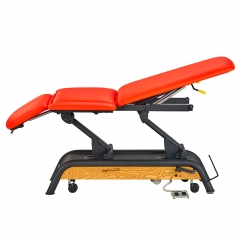 Milton Cabell Electric Luxury Massage Table