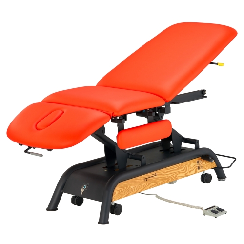 Milton Cabell Electric Luxury Massage Table