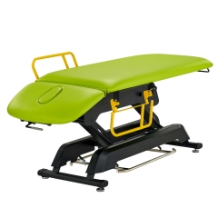 Premier Treatment Electric Lift Salon Spa Table