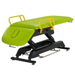 Premier Treatment Electric Lift Salon Spa Table