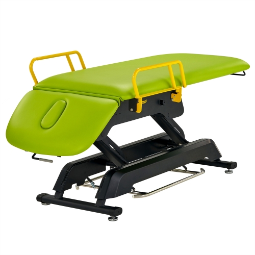 Premier Treatment Electric Lift Salon Spa Table