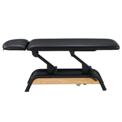 Milton Basic 2 Section Electric Treatment Table Massage Table