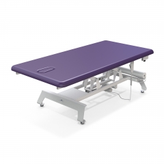 Camino Flat Electric Bobath Table Electric Mat Platform