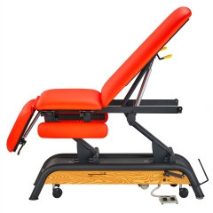 Milton Cabell Electric Luxury Massage Table