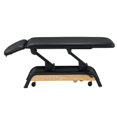 Milton Basic 2 Section Electric Treatment Table Massage Table