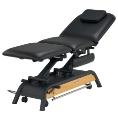 Milton Avalon Electric Treatment Couch Exam Table