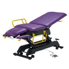 Premier Cabell Professional Electric Lift Massage Table