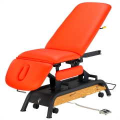 Milton Cabell Electric Luxury Massage Table