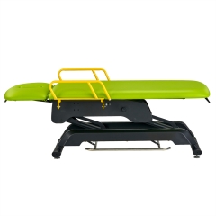 Premier Treatment Electric Lift Salon Spa Table