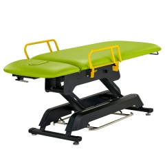 Premier Treatment Electric Lift Salon Spa Table