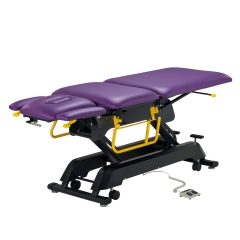 Premier Cabell Professional Electric Lift Massage Table