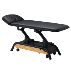 Milton Basic 2 Section Electric Treatment Table Massage Table
