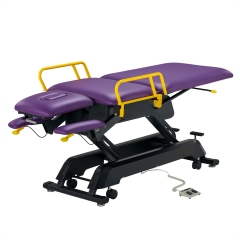 Premier Cabell Professional Electric Lift Massage Table
