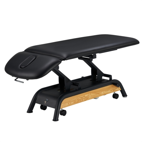 Milton Basic 2 Section Electric Treatment Table Massage Table