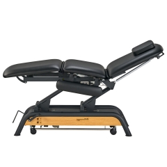 Milton Avalon Electric Treatment Couch Exam Table