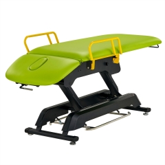 Premier Treatment Electric Lift Salon Spa Table