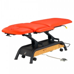Milton Cabell Electric Luxury Massage Table
