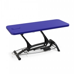 Goodwill Flat Medical Examination Bed