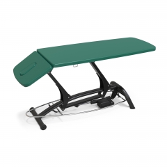 Goodwill Basic Electric Physical Therapy Table
