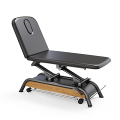 Milton Russell Electric Spa Treatment Table