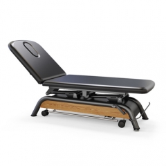 Milton Russell Electric Spa Treatment Table