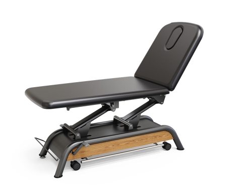 Milton Russell Electric Spa Treatment Table