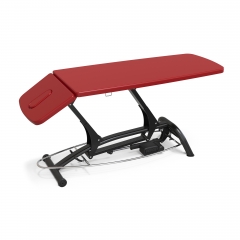 Goodwill Basic Electric Physical Therapy Table