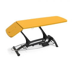 Goodwill Basic Electric Physical Therapy Table
