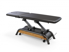 Milton Russell Electric Spa Treatment Table