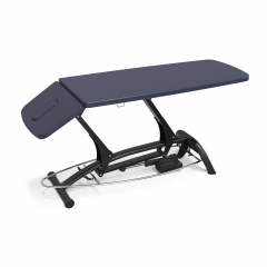 Goodwill Basic Electric Physical Therapy Table
