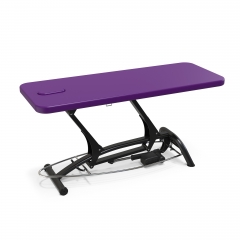Goodwill Flat Medical Examination Bed