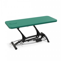 Goodwill Flat Medical Examination Bed