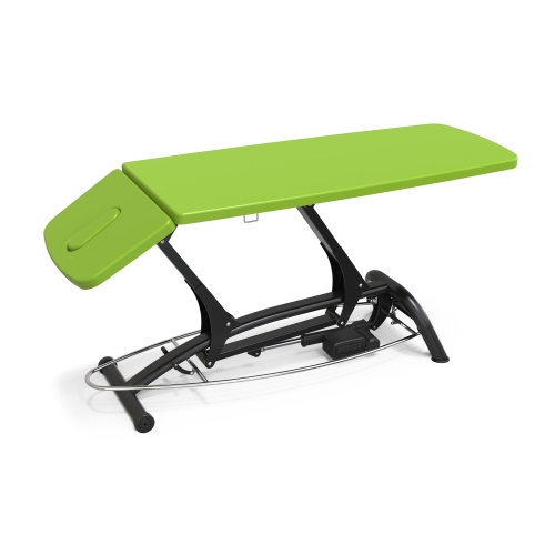 Goodwill Basic Electric Physical Therapy Table