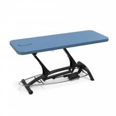 Goodwill Flat Medical Examination Bed