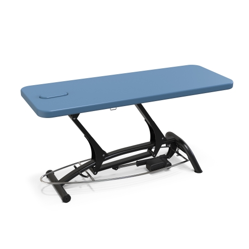 Goodwill Flat Medical Examination Bed