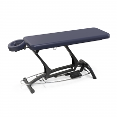 Goodwill-Flat Powered Lift Treatment Table Electric Massage Table