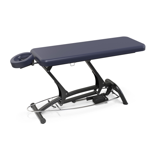 Goodwill-Flat Powered Lift Treatment Table Electric Massage Table