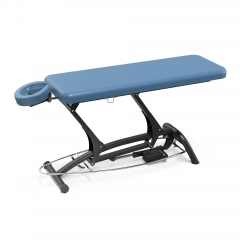 Goodwill-Flat Powered Lift Treatment Table Electric Massage Table