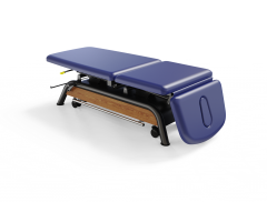 Milton Treatment Cabell Adjustable electric treatment table