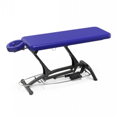 Goodwill-Flat Powered Lift Treatment Table Electric Massage Table