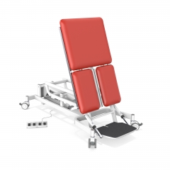 BLUEFORD Electric TILT TABLE Motorized Vertical Standing Training Tilt Table Physio Therapy Tilt Table