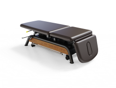 Milton Treatment Cabell Adjustable electric treatment table