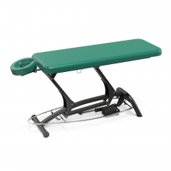 Goodwill-Flat Powered Lift Treatment Table Electric Massage Table