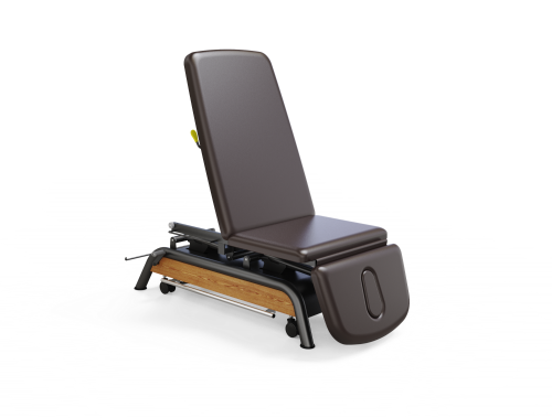 Milton Treatment Cabell Adjustable electric treatment table
