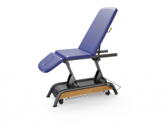 Milton Treatment Cabell Adjustable electric treatment table