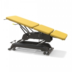 Premier Infinity Electric Hi-lo Treatment Table Exam Couch Physiotherapy Table