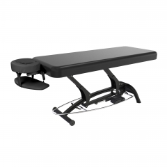 Goodwill-Flat Powered Lift Treatment Table Electric Massage Table