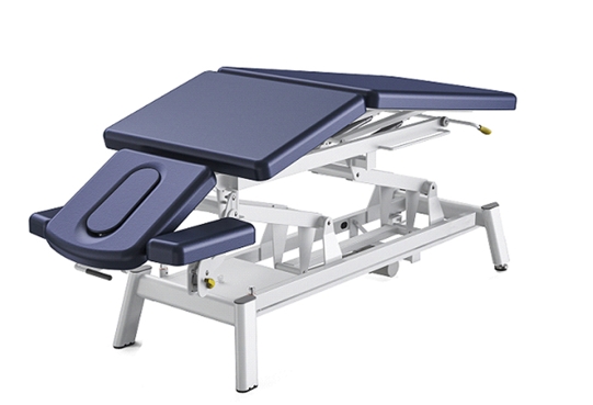 Newly Echo Electric Treatment Table Exam Bed Lauched